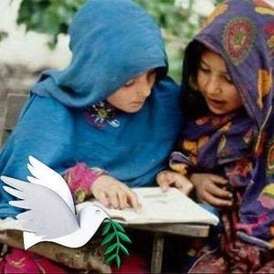 Meet your Posher, Ahmad